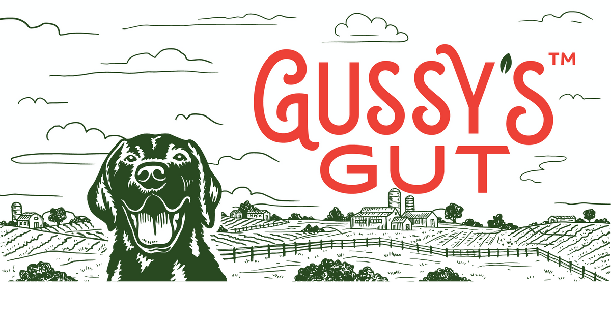 gussysgut.com