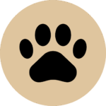 www.catbehaviorassociates.com