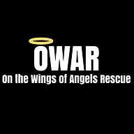 www.owar.org