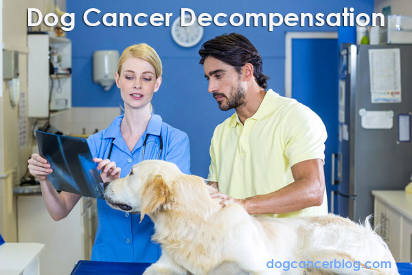 www.dogcancerblog.com