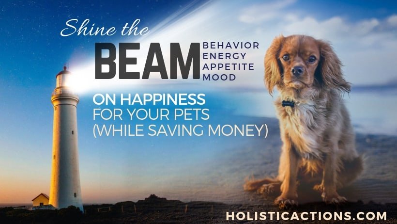 beam, pet health, holistic pet care