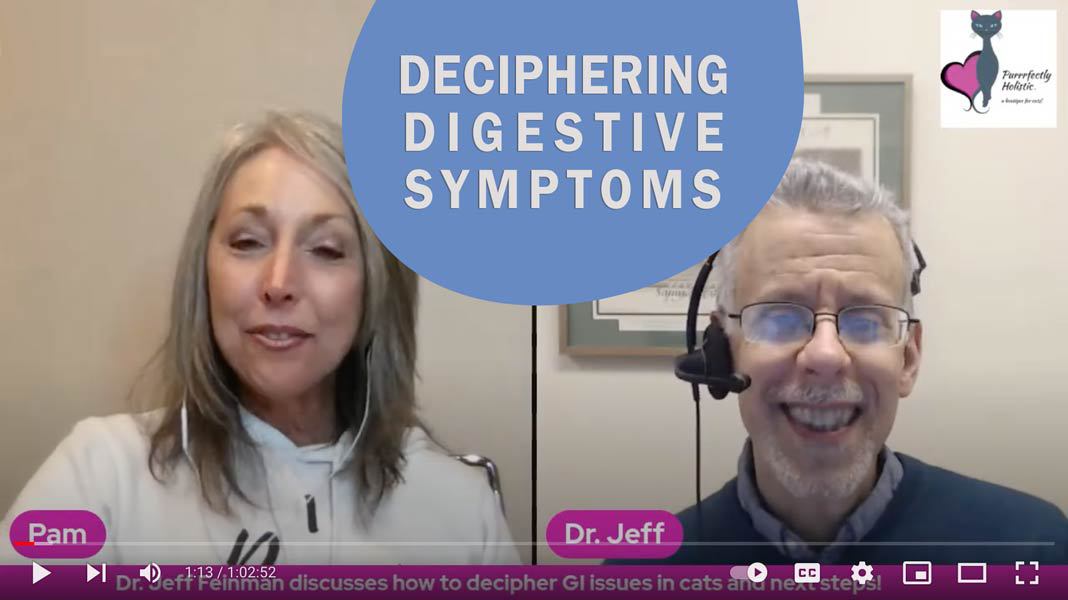 Deciphering Digestive Symptoms