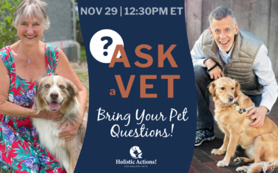 Ask a Vet Q&A 11/29/24