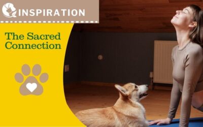 The Sacred Connection: A Yogic Approach to Pet Care on the Path to Pet Wellness