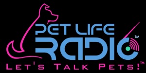 Dr. Jeff talking on pet life radio about end of life decisions for our pets