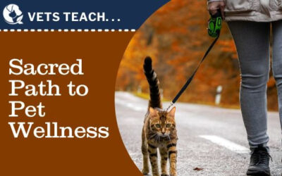 The Sacred Path to Holistic Pet Wellness: Bridging Ancient Wisdom and Modern Science