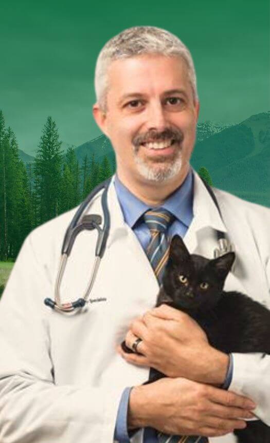 Dr. Marnin Forman at HOlistic Actions Pet Health webinar